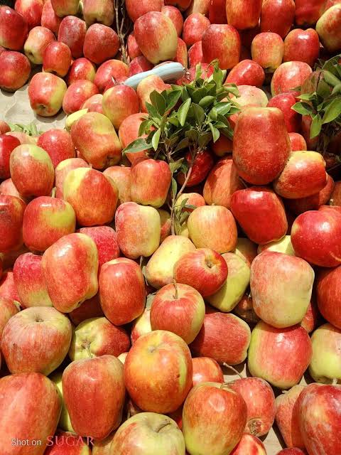 اشتري ووصللي