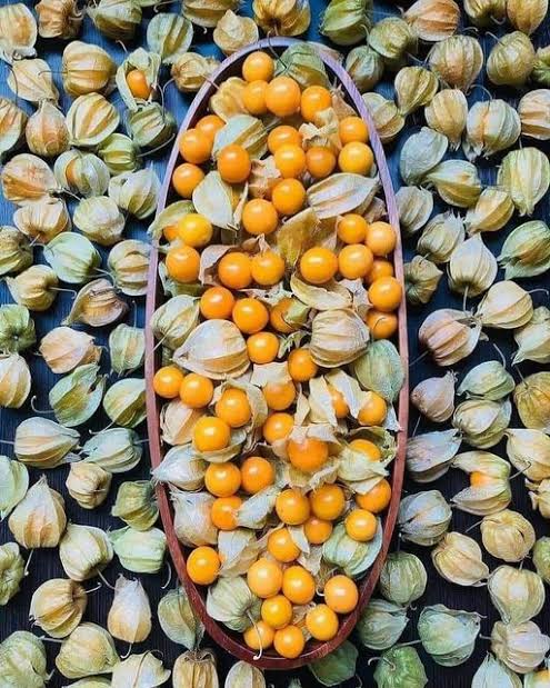 اشتري ووصللي